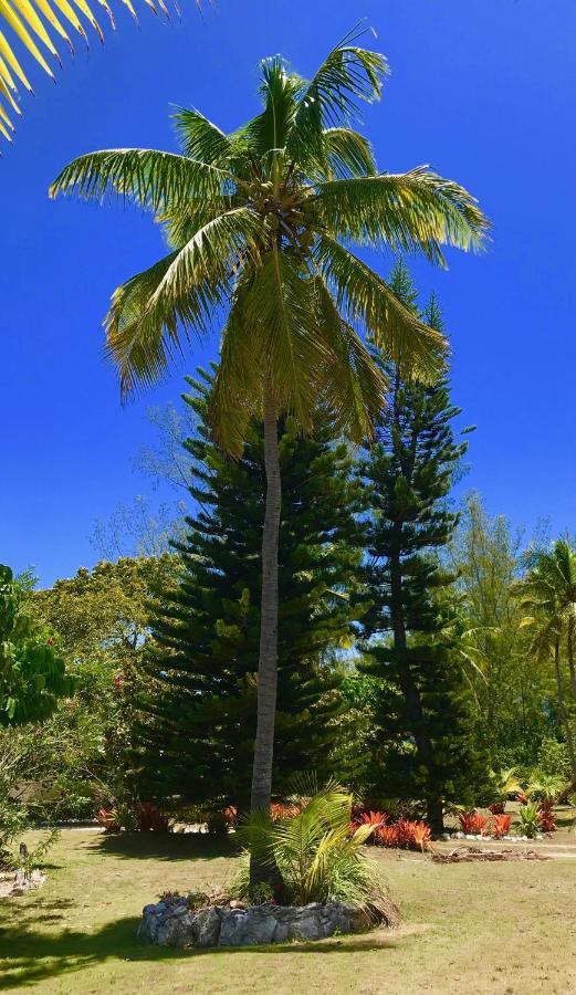 Poponi House Home North Palmetto Point エクステリア 写真